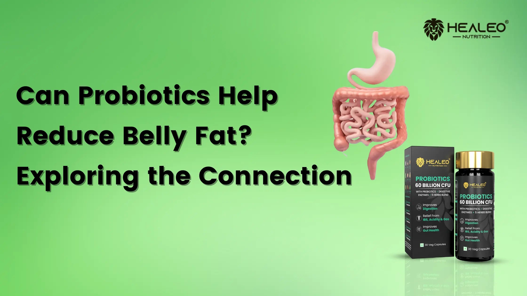 Can Probiotics Help Reduce Belly Fat? Exploring the Connection