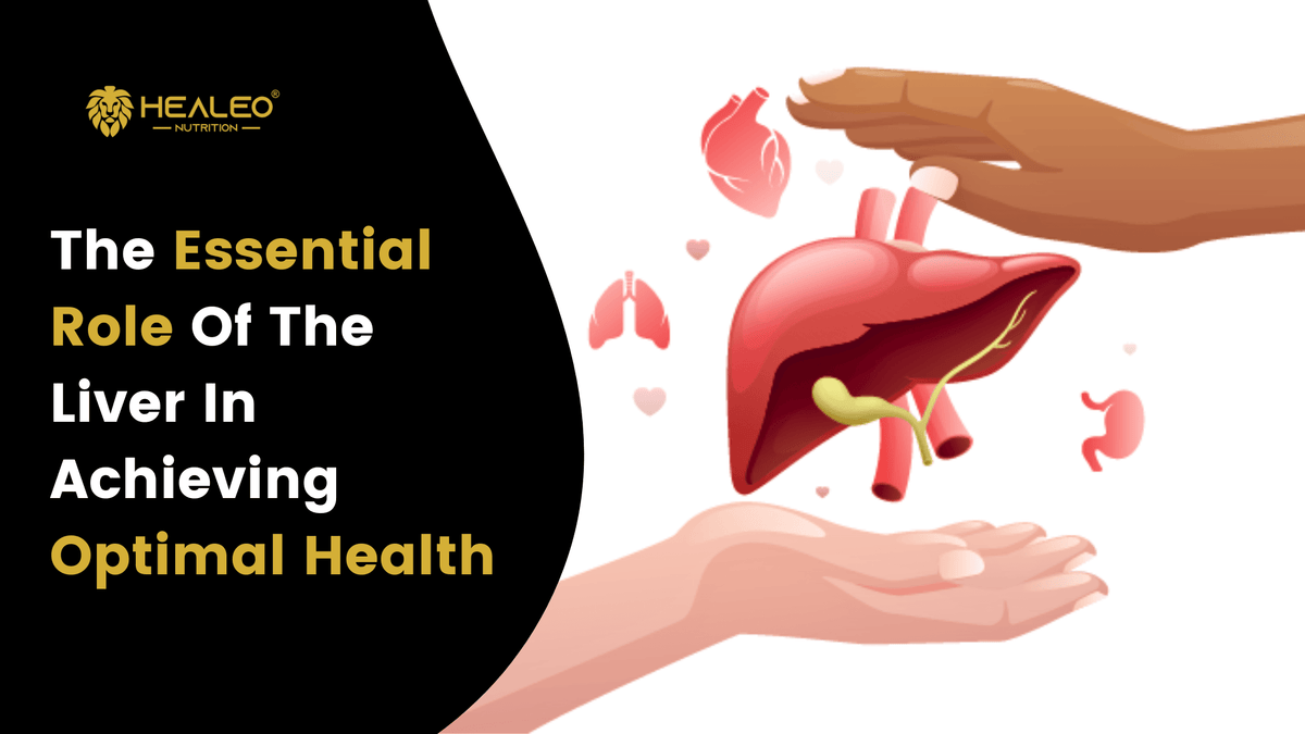 The Essential Role of the Liver in Health Healeo Nutrition
