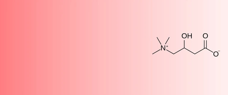 L-Carnitine