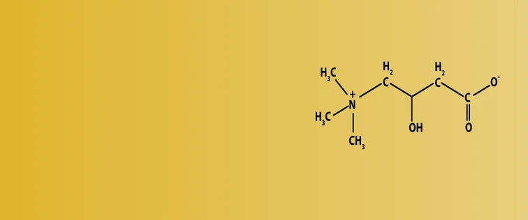 L-carnitine