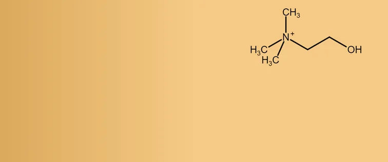 Choline Hydrogen Tartrate