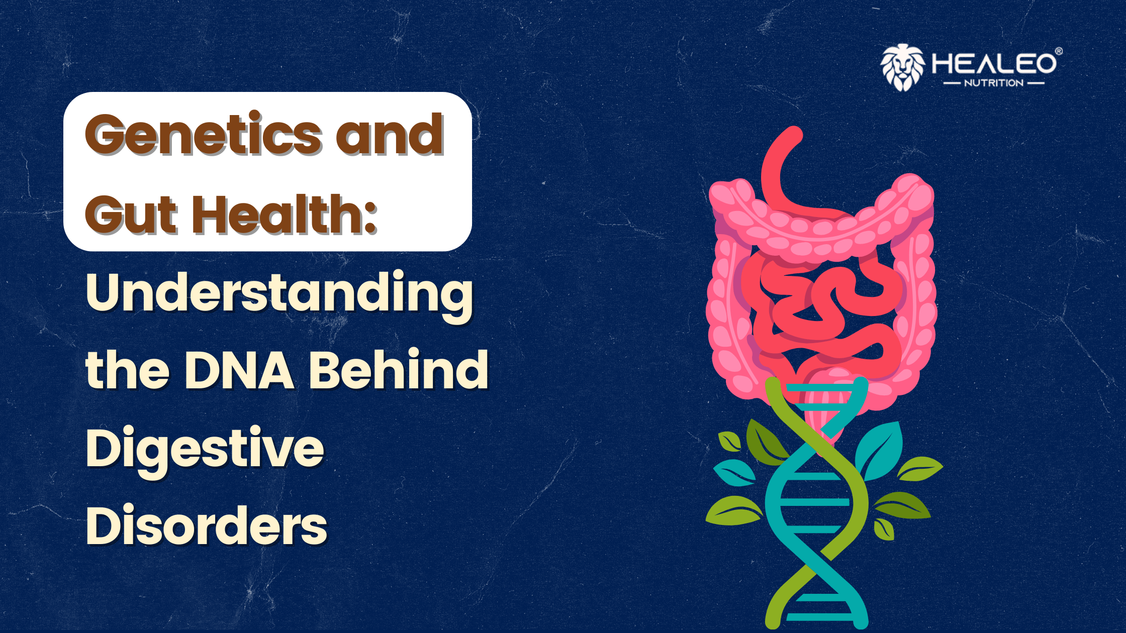 Genetics and Gut Health: Understanding the DNA Behind Digestive Disord