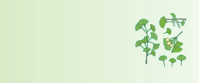 2_4-sage