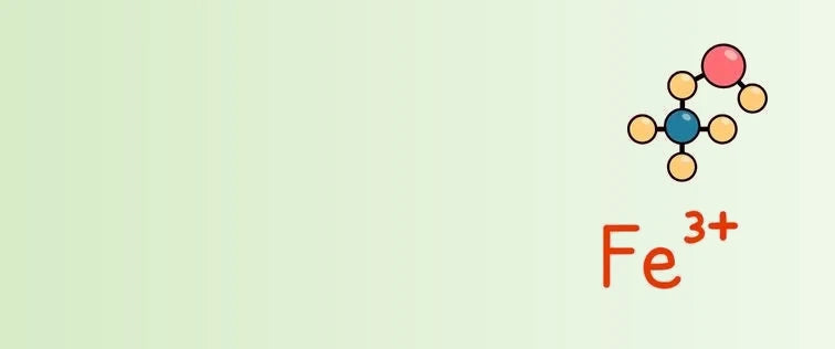 2_4_ab9ca2f5-b783-4d78-b223-dfe84aec7e47-sage