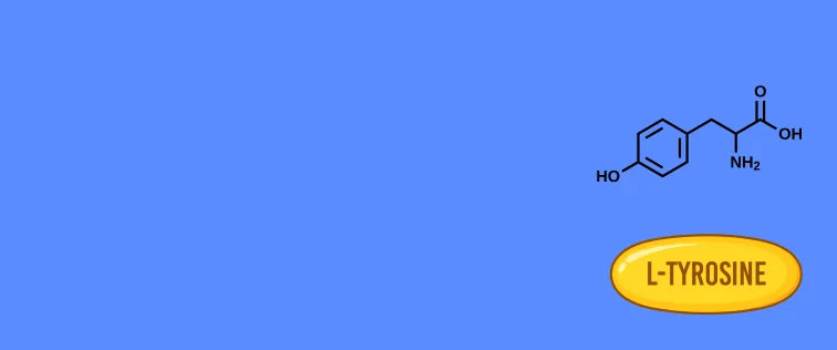 L-Tyrosine