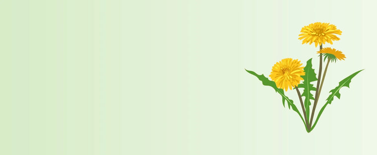 All_Product_images_website_10-sage