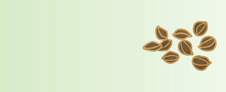 All_Product_images_website_8-sage