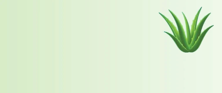 Aloe_Vera_16b6f15c-57e6-4bf8-bd1d-a8d11b2e6a4f-sage