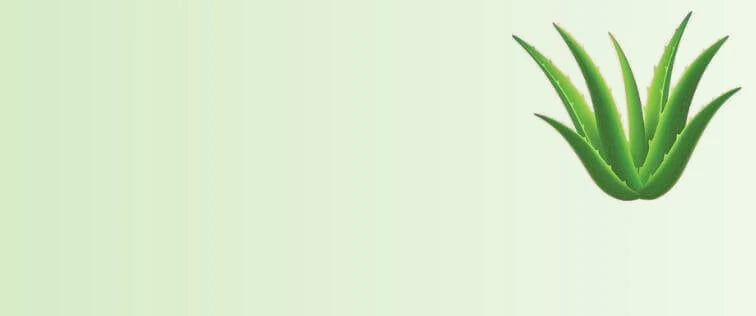 Aloe_Vera_Extract_53c943f3-988d-4d0d-94b8-36a84e7e8701-sage