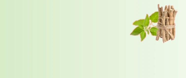 Ashwagandha_0a57bc86-38d0-432f-9c1b-4fc8d653e070-sage