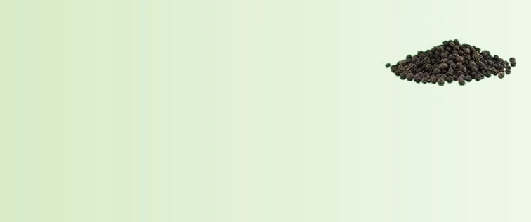 Black_Pepper_Extract_ccdbc472-1636-403e-a2f1-bbabcf882fc9-sage