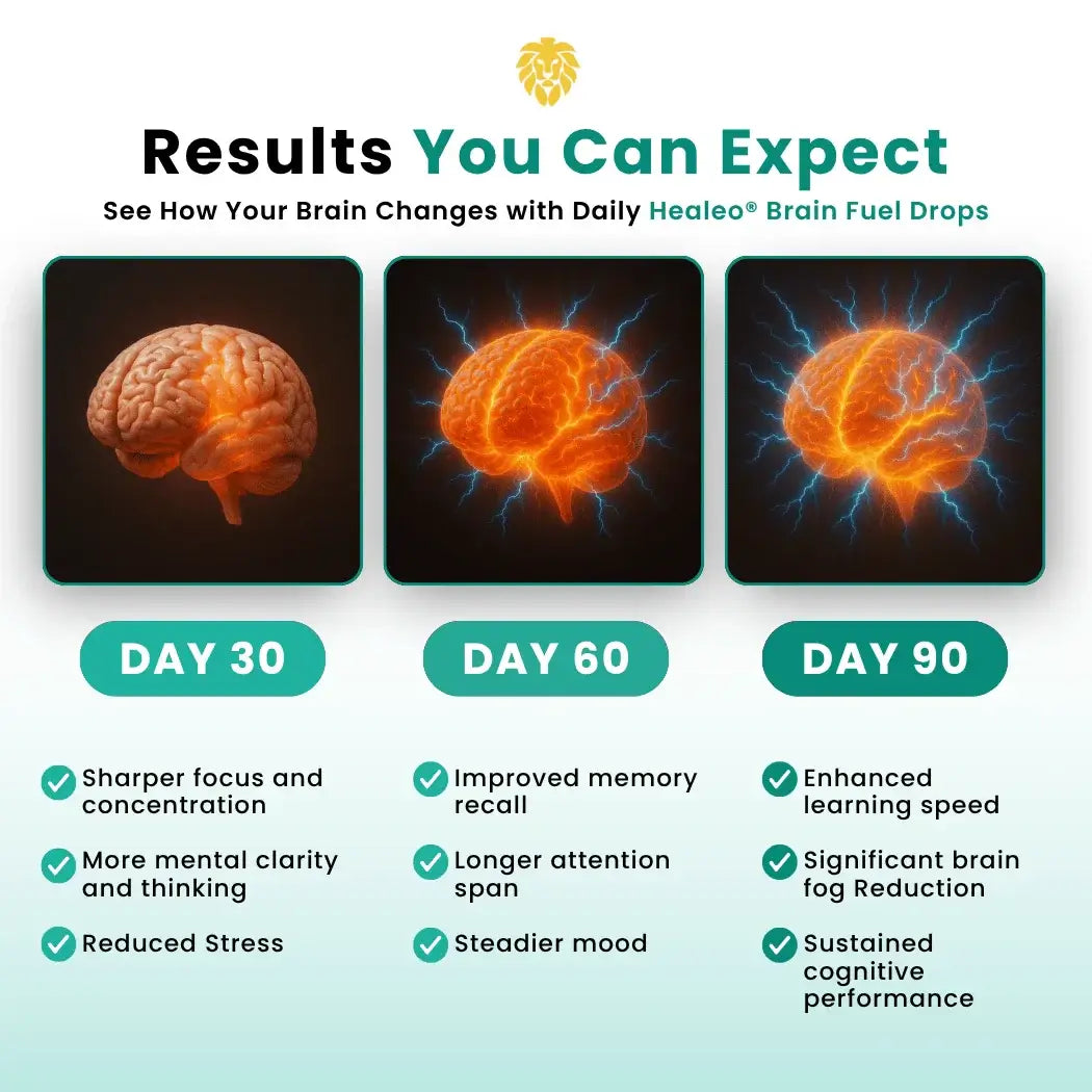 Loop Brain Fuel Brain Fuel Drops | Boost Focus, Clarity & Memory | Healeo