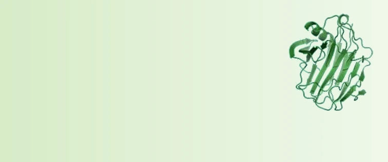 Cellulase_281cd6cf-da18-4642-b7dc-1d38f537d8c5-sage