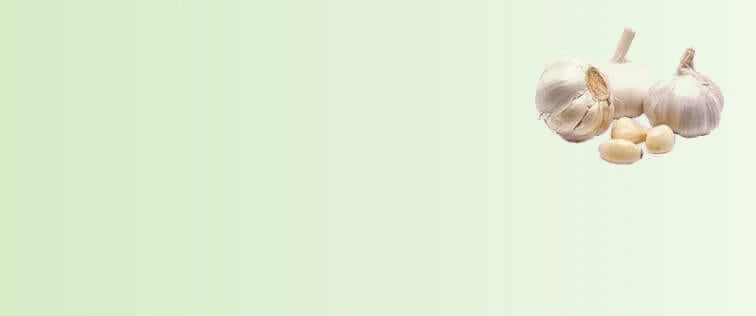 Garlic_Powder_1ce472b6-4de5-4258-8af1-e2d30e9bf244-sage