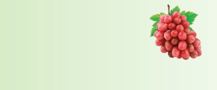 Grape_Seed_Extract_1d0850a3-6c00-42eb-b86d-f7341c33a2ce-sage