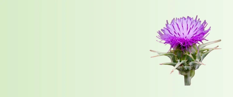 Ingredients-sage