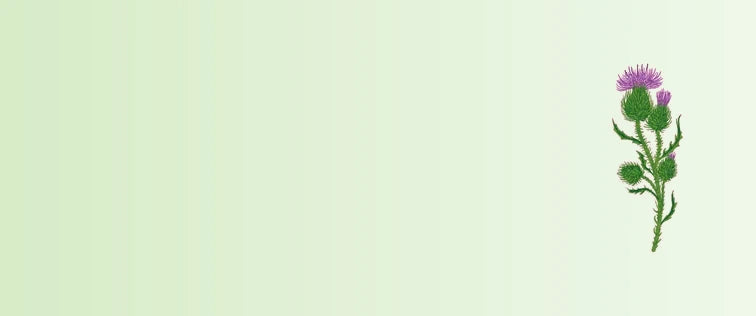 Ingredients_3_55608fd1-d327-48f8-9084-e74fd2b13407-sage