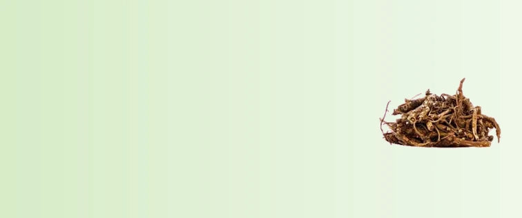 Ingredients_5_7932586b-8e80-4cc3-bf5f-bd742bc18094-sage