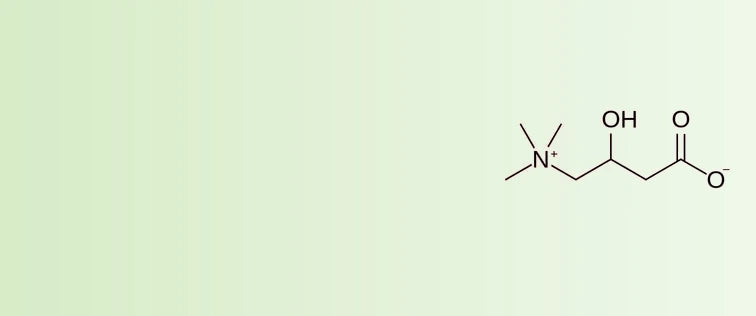 Ingredients_819dc1ee-4734-4060-a4d1-e610c5aea309-sage