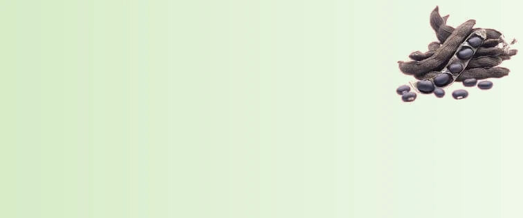 Mucuna_Pruriens_Kaunj_Beej_f7f72e1c-1814-4365-a9ca-a9e90cfbb855-sage