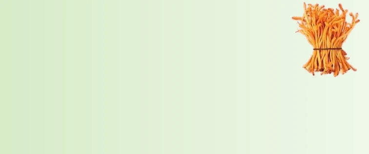 Ophiocordyceps_Sinensis_c7421220-e722-4ff1-abdd-66679b330fdd-sage