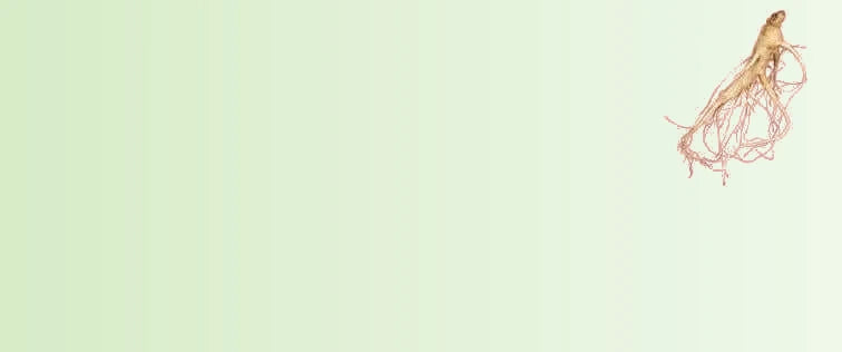 Panax_Ginseng_fe05c724-5ebc-4786-8f72-c9ec1e3850ec-sage