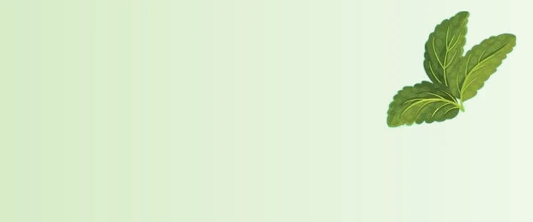 Peppermint_d38500a9-2b7b-4d6b-b916-f9d323af4ae3-sage