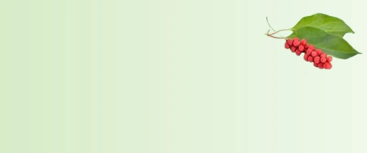 Red_Clover_Extract_175558b6-e3d5-4dba-a235-950c4a7814bf-sage