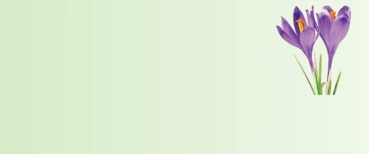 Saffron_Extract_b66d098d-0cd9-4be6-a7e9-d122e516f66f-sage