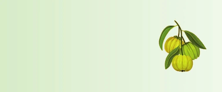Untitled_design_33-sage