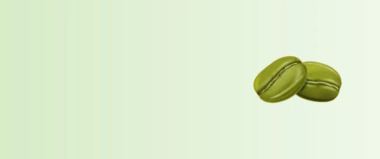 Untitled_design_34-sage