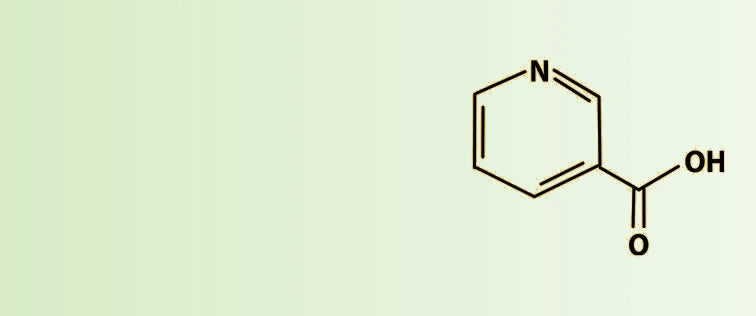 Untitled_design_36-sage