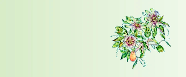 Untitled_design_89-sage