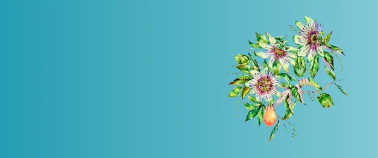 Flower Using Sleep Powder Melatonin+ Sleep Drops | Natural Sleep Aid