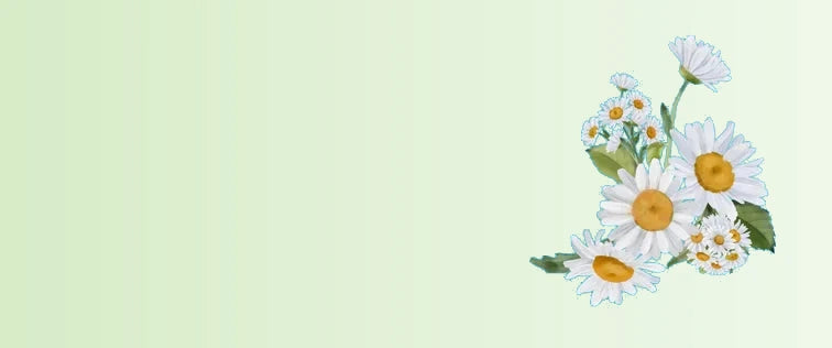 Untitled_design_91-sage