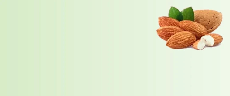Vitamin_E_f99b9318-0ac6-449f-8769-4f099c64760e-sage