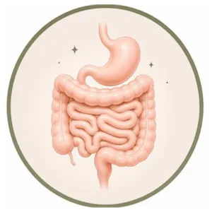 Get a Healthy Gut